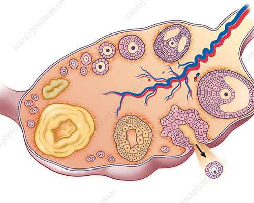 苏州市试管婴儿医院排名!苏州试管婴儿费用大概要多少钱!