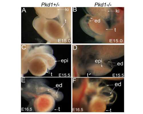 2026湘潭三代试管婴儿医院大全，仅市中心医院可选择