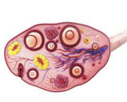 滨州哪个医院可以做试管婴儿？滨州试管费用多少钱