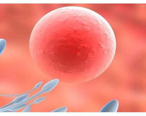 备孕期间喝茶有影响吗  答案跟你想的不一样