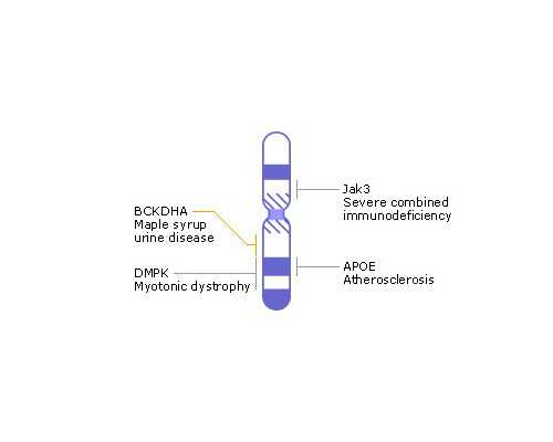 苏州试管技术最好的医院哪里好?苏州哪个医院做试管婴儿技术成熟?