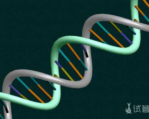 福州妇幼可以做试管三代吗？