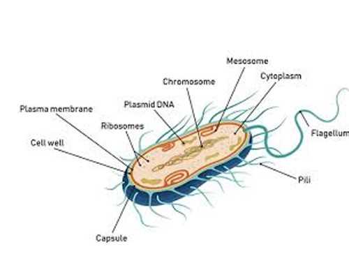 2026南京热门试管医院排行榜出炉，人民医院位列行首