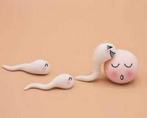 2026在广州试管婴儿成功率有多少？