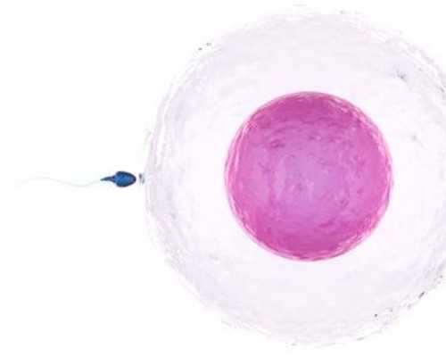 白带常规检查多少钱