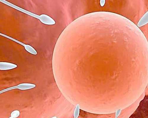 试管使用短方案促排除了花费低,还有哪些优势?