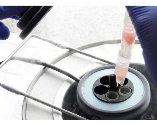 别让甲状腺坏了事！甲功异常对试管成功率的影响不可忽视