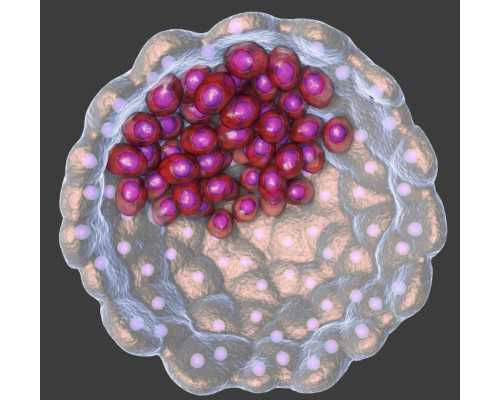 禁欲15天可以检查精液质量吗？看专业医生给你分析