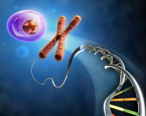 苏州试管婴儿排行前十名