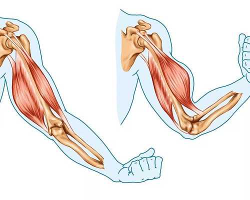 广东省去哪做试管好？广东试管婴儿医院推荐