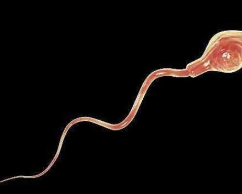 在全美排名前10的加州大学医疗中心做试管好吗？