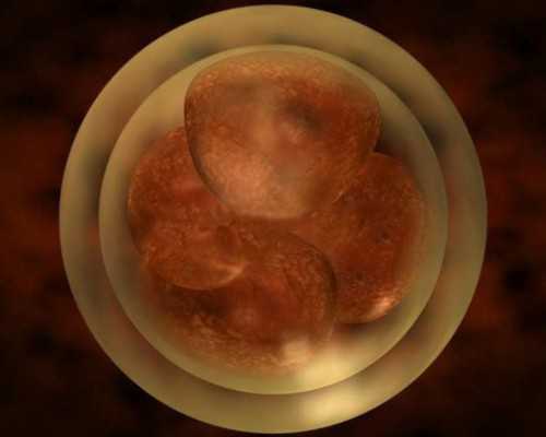 巢倍滋的功效，巢倍滋能恢复卵巢早衰吗？